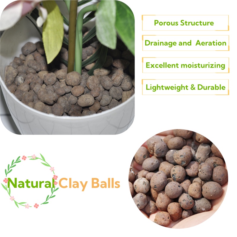 Clay Pebble Growing - 2L/1L Organische Kleikorrels, Bloemsubstraat Drainage Uitgebreide