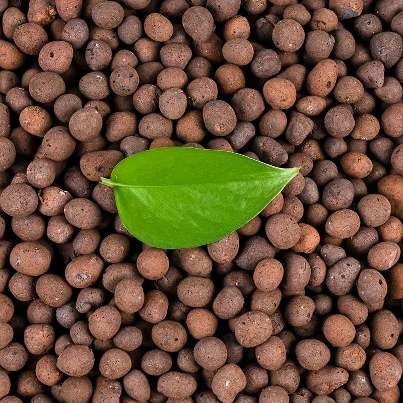 Clay Pebble Growing - 1LB Herbruikbare Hydrocultuur Klei Kiezels Natuurlijke