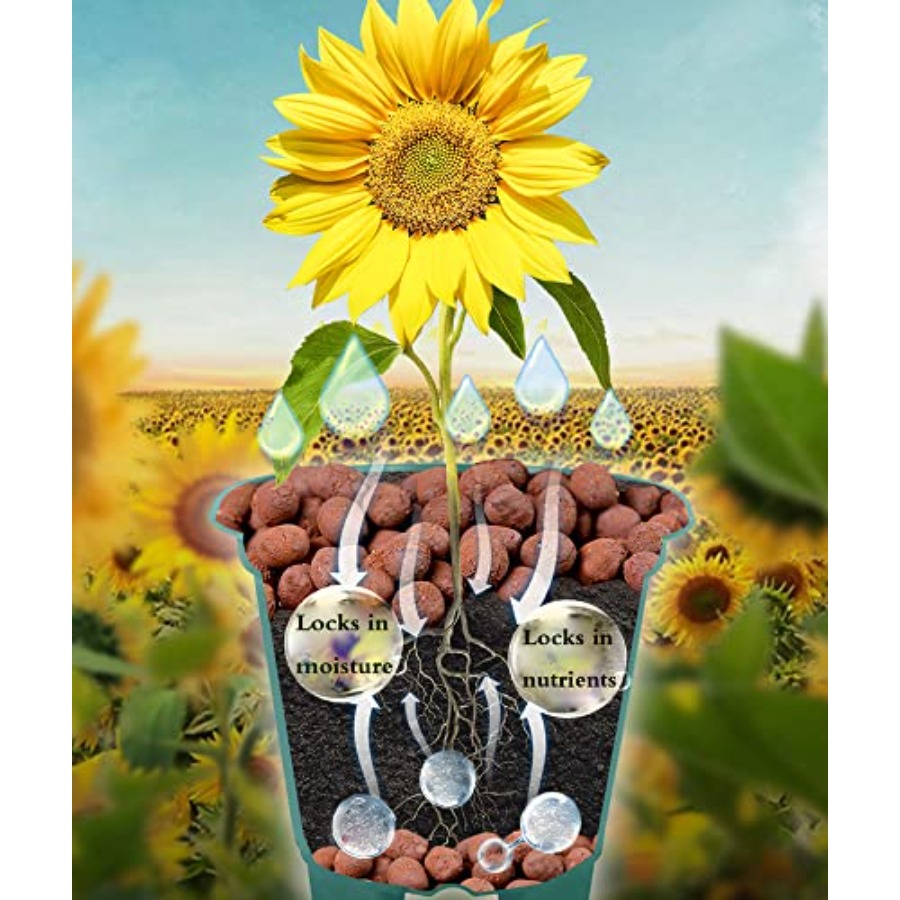 Voulosimi Kleikorrels Hydropon - Clay Pebble Growing recensie en prijs