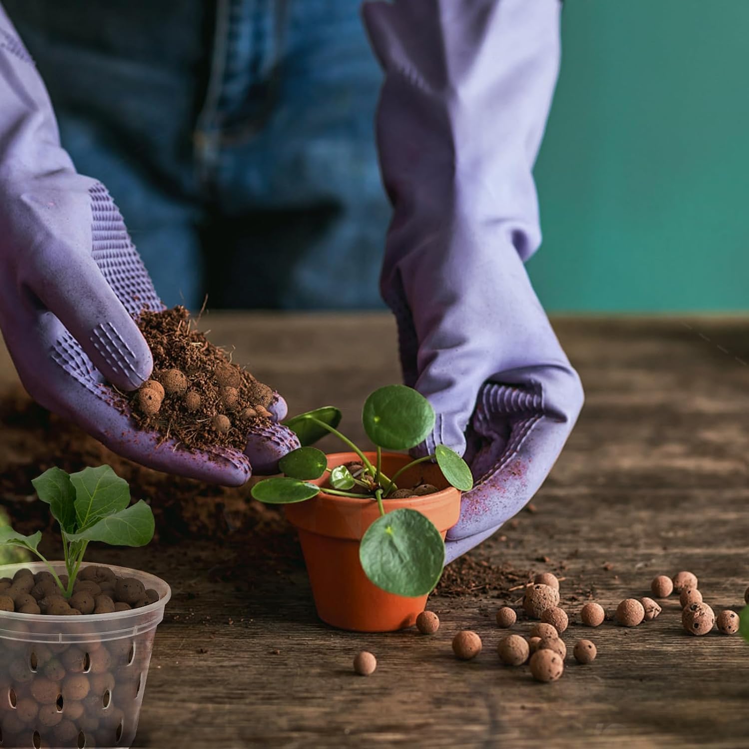 2L/1L Organische Kleikorrels,  - Clay Pebble Growing recensie en prijs