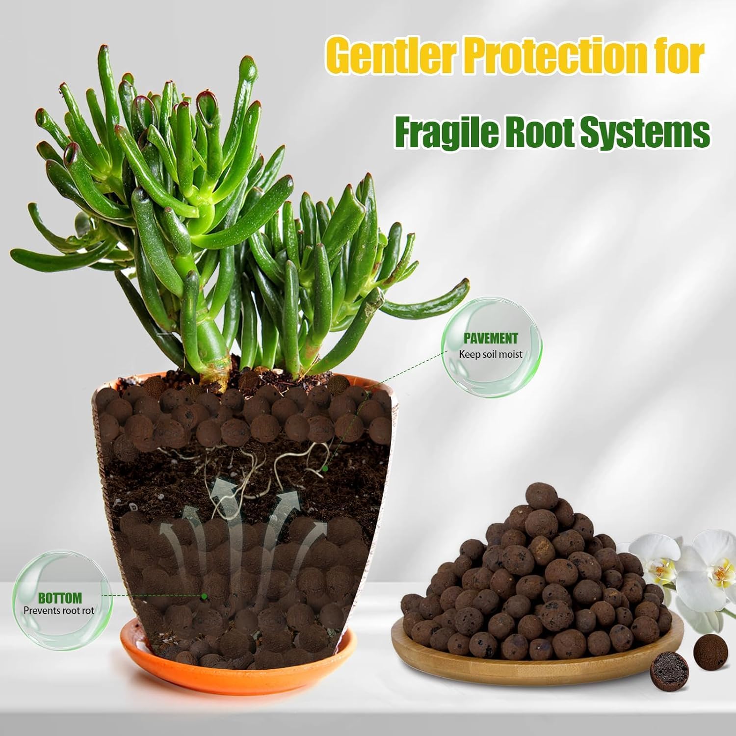 2L/1L Organische Kleikorrels,  - Clay Pebble Growing recensie en prijs
