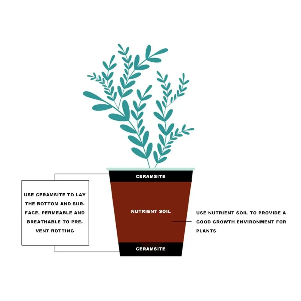 1L Natuurlijke Uitgebreide Kle - Clay Pebble Growing recensie en prijs