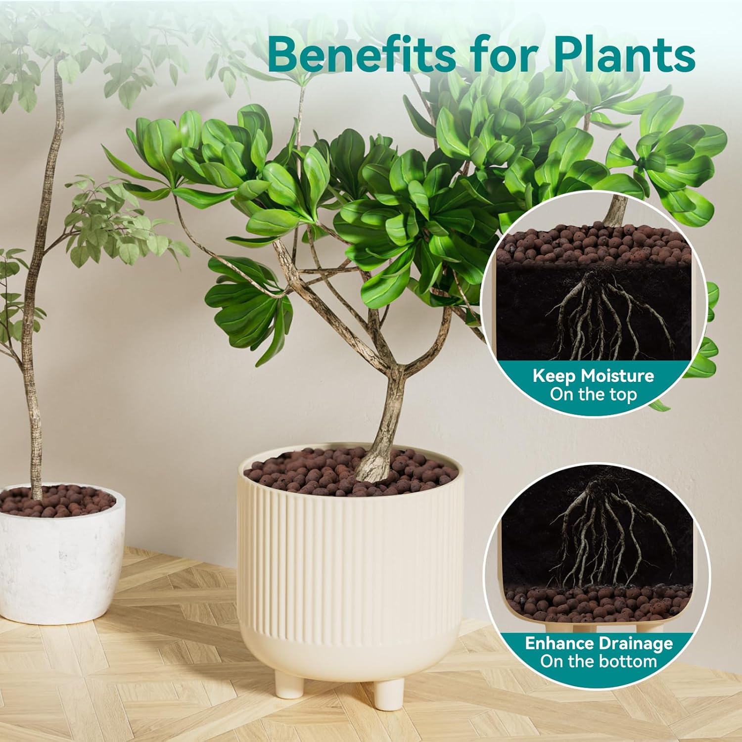 100/200G Kleikiezels voor plan - Clay Pebble Growing recensie en prijs