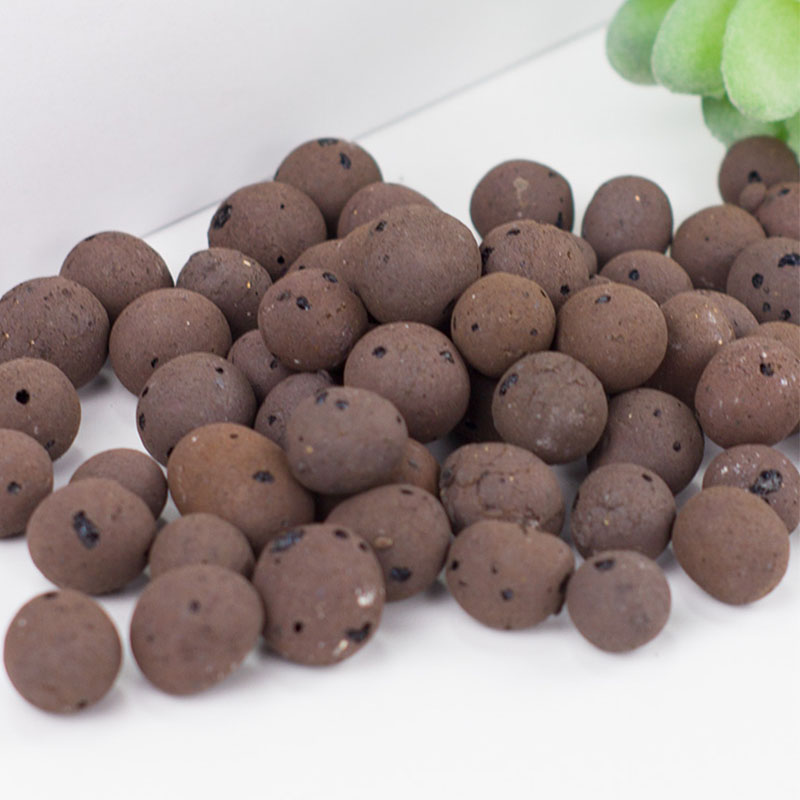 500G Organic Light Ceramsite K - Clay Pebble Growing recensie en prijs